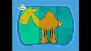 Colours and Shapes (21) BabyTV