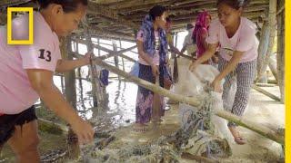 This Community in the Philippines Converts Plastic Fishing Nets to Carpet | National Geographic