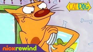 Cat Tries to Hide Dog | CatDog | Nicktoons