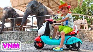 Nikita bé nhỏ cưỡi và chơi ở sở thú Video cho trẻ em