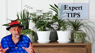 Expert Tips - Make Your Houseplants Thrive!