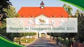 Impressionen der Moritzburger Hengste im Hauptgestüt Graditz