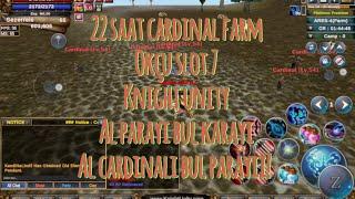 knight unity sezerreis 22 saat cardinal farm okçu slot 7! Al cardınalı bul parayı