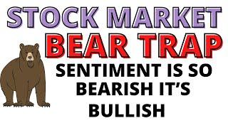 S&P 500 Bottoming Signals Galore Flashing- Stock Market CRASH About to End -The Herd is Very Bearish