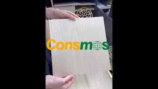 Consmos Baltic Birch Plywood 3mm 1/8" 12" x 12" Craft Wood B/BB Grade Baltic Birch Sheets