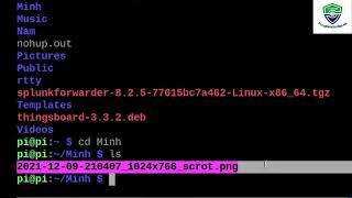 Các lệnh thao tác với thư mục và file trên Raspberry Pi