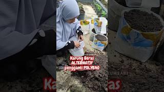 KARUNG BERAS ALTERNATIF PENGGANTI POLYBAG