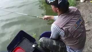 Поплавочная Ловля Уклейки: семейная рыбалка. Мастер-Класс "О рыбалке всерьёз" видео 189.