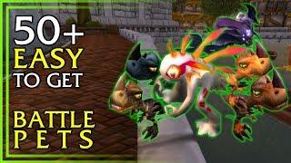 EASY BATTLE PETS - 50+ Easy To Get Battle Pets in World of Warcraft