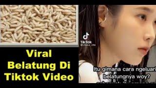 belatung viral tiktok, belatung viral, belatung viral twitter, belatung tiktok, full video