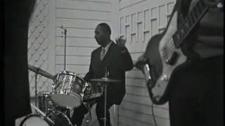 Wild About You - Hound Dog Taylor w. Little Walter 1967