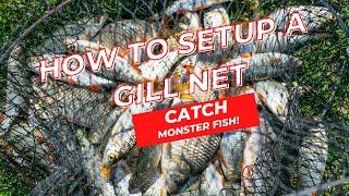 How to Setup a Gill Net & Catch Monster Fish !