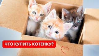 ЧТО купить для КОТЁНКА? Как подготовиться к появлению КОТЁНКА? Чек-лист нового владельца котёнка