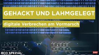 Gehackt und lahmgelegt | ECO Spezial 24.10.2024