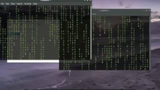 Matrix screen Terminal in Kali Linux