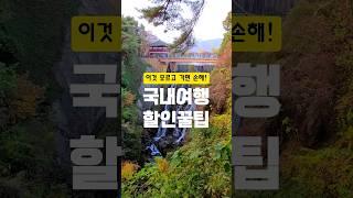 국내여행 갈 때 할인받고 가는 법 두가지!  디지털관광주민증이란 × 코레일 지역사랑 철도여행 #대한민국구석구석 #코레일