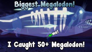 Catching The Biggest Megalodon In Fisch!