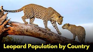 Leopard Population By Country