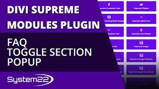 Divi Theme Supreme Modules Plugin FAQ Toggle Section Popup 