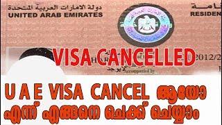 how to check visa cancellation status uae  |uae visa cancelltion enquiry | common info