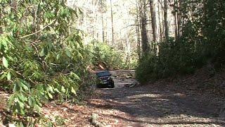 Running Horse Creek on President's Day 2024