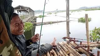 mancing ketawa#shorts