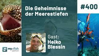 my-fish.org - The secrets of the ocean depths - Discover fascinating creatures.. (Heiko Blessin)