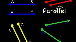 Parallel, Intersecting, & Perpendicular Lines
