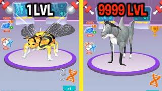 Idle Animal Evolution MAX LEVEL - Animals Evolution!