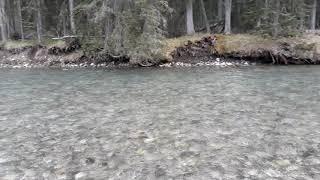 Spray River, Banff