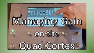 Managing Gain (Volume, Saturation, Compression) on the Quad Cortex