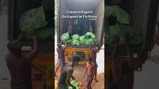 How to Export Semi-Husked Coconuts from India 