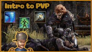 ESO PVP Introduction Guide // Skill Setups (Elder Scrolls Online 2023)