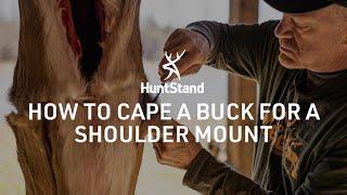 How To Cape A Buck For A Shoulder Mount