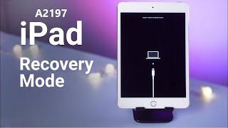 iPad A2197 iTunes Error 4013 Solution