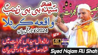 Najam Ali Shah New Bayan 2024 | Karbala Ka Waqia | Bibi Zainab Ka Waqia | Syed Najam Shah