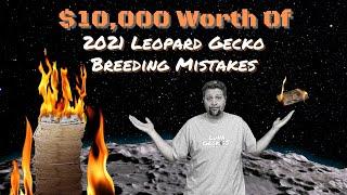 $10,000 Worth of 2021 Leopard Gecko Breeding Mistakes