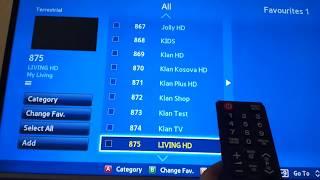 SAMSUNG TV SET FAVORITE CHANNELS