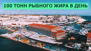 Остров Кунашир. Южно-Курильский рыбокомбинат. До 100 тонн рыбной муки и жира в день