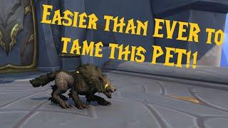 WoW Dragonflight - Tame Fenryr NOW!! Hidden Hunter Pet Tame in Halls of Valor