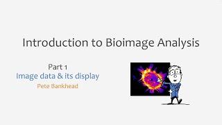 1 - Image data & its display