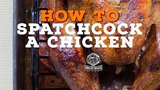 How to Spatchcock a Chicken for the best whole cooked chicken results