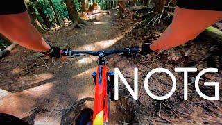 NOTG (Not Off the Grid) - Tiger Mountain MTB [4K]