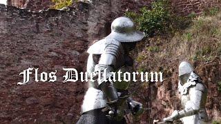 Harnischfechten | realistic, non-choreographed medieval combat