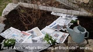 Gardening Tip: Mulch lasts longer over newspaper with Ann M. Wolf