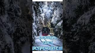 С последним днем осени...Встречаем зиму...️