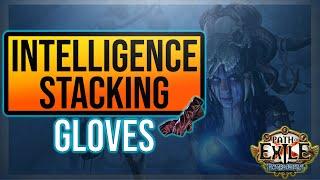 Intelligence Stacking Gloves - Expedition