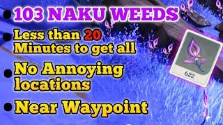 Lazy Version: 103 Naku Weed Location - Genshin Impact 2022 (Shinobu,Yoimiya Ascension Material)