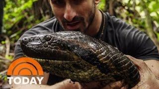 Eaten Alive By Anaconda: Why I Did It | TODAY