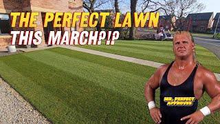 Is This The Perfect Lawn This March // March Lawn Tips// Spring Lawn Tips // 4k